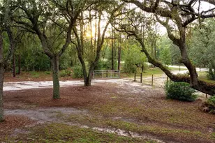 34256 Belt Dr, Dade City, FL 33523 - Photo 44