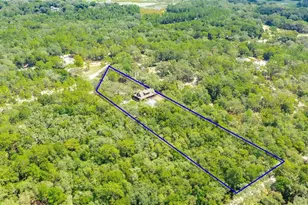 34256 Belt Dr, Dade City, FL 33523 - Photo 48