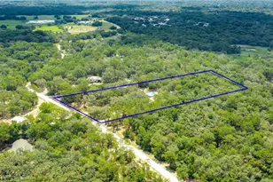 34256 Belt Dr, Dade City, FL 33523 - Photo 48