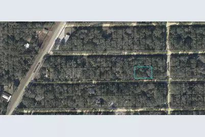 Ne 472nd Avenue, Old Town, FL 32680 - Photo 1