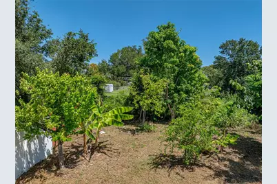 31511 Saddle Lane, Wesley Chapel, FL 33543 - Photo 84