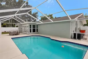 3418 Glossy Ibis Ct, Palm Harbor, FL 34683 - Photo 34