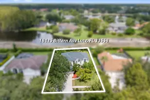 18425 Bittern Ave, Lutz, FL 33558 - Photo 76