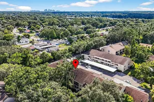 7809 Niagara Ave, Tampa, FL 33617 - Photo 34