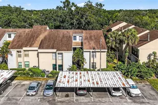 7809 Niagara Ave, Tampa, FL 33617 - Photo 34