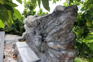 8320 Woodlake Pl, Tampa, FL 33615 - Photo 52