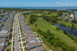 979 Signet Dr, Apollo Beach, FL 33572 - Photo 56