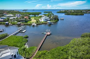 763 Jacqueline Ln, Palm Harbor, FL 34683 - Photo 92