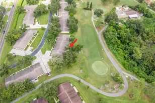 1012 Dunrobin Dr, Palm Harbor, FL 34684 - Photo 46