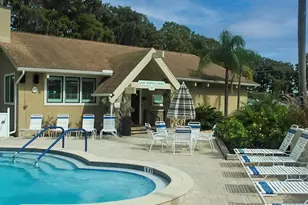 1012 Dunrobin Dr, Palm Harbor, FL 34684 - Photo 56