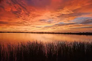 3215 Gulf City Rd, Ruskin, FL 33570 - Photo 94