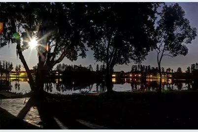 117 Bellamere Palms Court, Lutz, FL 33549 - Photo 48