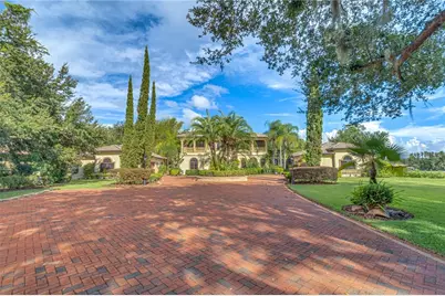 117 Bellamere Palms Court, Lutz, FL 33549 - Photo 8