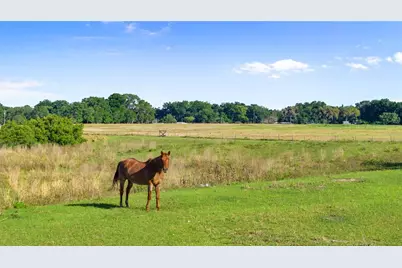 10705 Crane Hill Court, Thonotosassa, FL 33592 - Photo 96