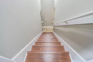 9809 La Rita Pl, Riverview, FL 33569 - Photo 30