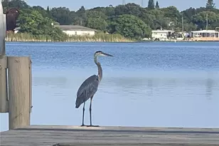 11314 Harborside Dr, Largo, FL 33773 - Photo 60