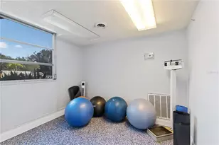 3315 58th Ave S, Saint Petersburg, FL 33712 - Photo 32