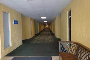 2506 N Rocky Point Dr, Tampa, FL 33607 - Photo 4