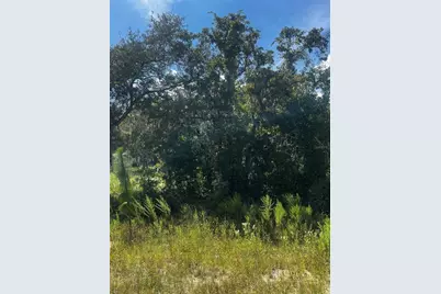 0 Crider Road, Weeki Wachee, FL 34614 - Photo 8