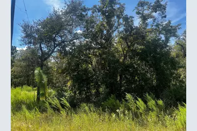 0 Crider Road, Weeki Wachee, FL 34614 - Photo 1