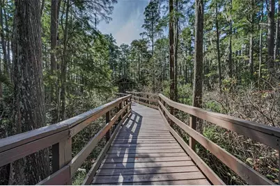 1904 Paw Paw Place, Trinity, FL 34655 - Photo 54