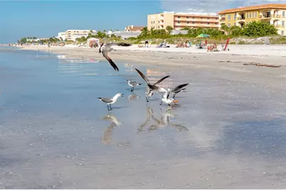 816 Hidden Harbour Drive, Indian Rocks Beach, FL 33785 - Photo 56