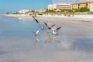 816 Hidden Harbour Dr, Indian Rocks Beach, FL 33785 - Photo 56