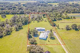 14010 Scales Rd, Wimauma, FL 33598 - Photo 38