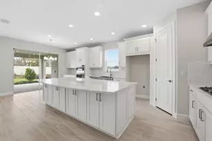 3897 Figliolia Wy, Wesley Chapel, FL 33543 - Photo 4