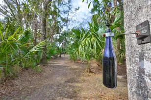 3301 Timberlee Rd, Wimauma, FL 33598 - Photo 68