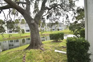 940 Virginia St, Dunedin, FL 34698 - Photo 10