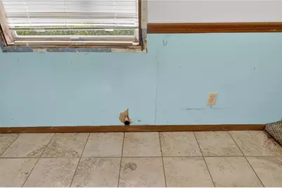 311 S Webb Road, Plant City, FL 33566 - Photo 52