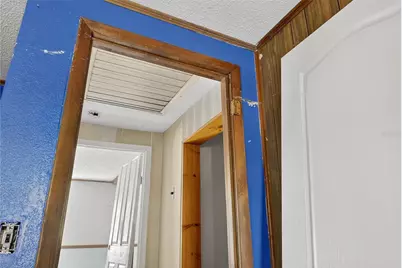 311 S Webb Road, Plant City, FL 33566 - Photo 36