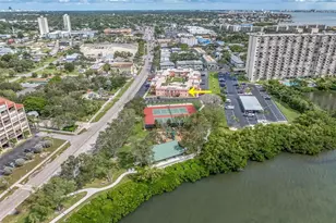 1150 Rue Des Reines, South Pasadena, FL 33707 - Photo 4