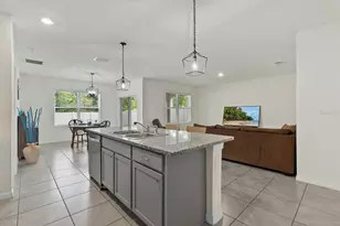 15615 Black Pepper Ln, Odessa, FL 33556 - Photo 8