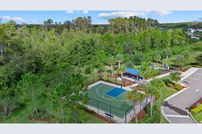 15615 Black Pepper Lane, Odessa, FL 33556 - Photo 32