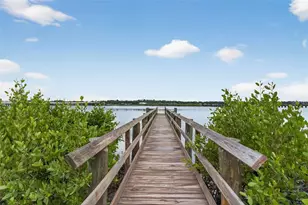 2007 Palm Key Ave, Oldsmar, FL 34677 - Photo 46