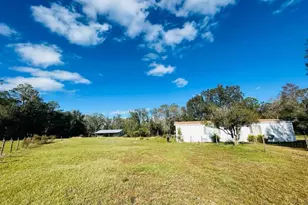 6810 Pearson Ln, Wesley Chapel, FL 33544 - Photo 16