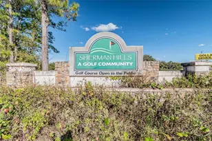 30821 Water Lily Dr, Brooksville, FL 34602 - Photo 62