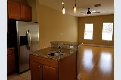 4523 Legacy Park Drive, Tampa, FL 33611 - Photo 8