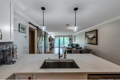 29147 Bay Hollow Drive #3224, Wesley Chapel, FL 33543 - Photo 12