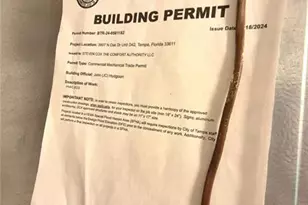 3807 N Oak Dr, Tampa, FL 33611 - Photo 10