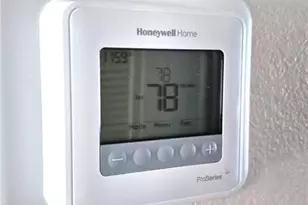 3807 N Oak Dr, Tampa, FL 33611 - Photo 16