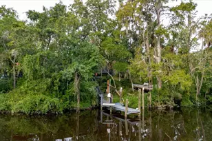 8304 Revels Rd, Riverview, FL 33569 - Photo 76