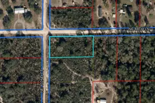 Tbd NE 88th Ln, Bronson, FL 32621 - Photo 1