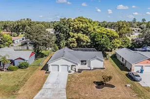 8393 Camphor Dr, Spring Hill, FL 34606 - Photo 42