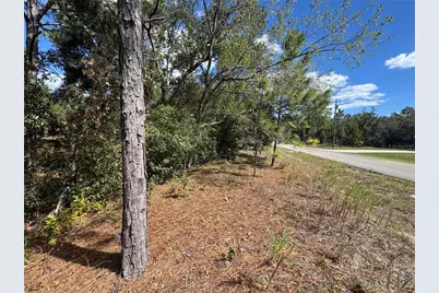 3341 W Wilhelm Street, Citrus Springs, FL 34433 - Photo 10