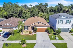 7518 Tangle Brook Blvd, Gibsonton, FL 33534 - Photo 1