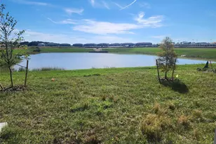 32118 Pond Apple Bnd, San Antonio, FL 33576 - Photo 22