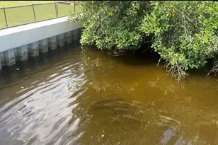 265 96th Ave N, Saint Petersburg, FL 33702 - Photo 76